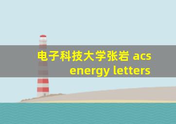 电子科技大学张岩 acs energy letters